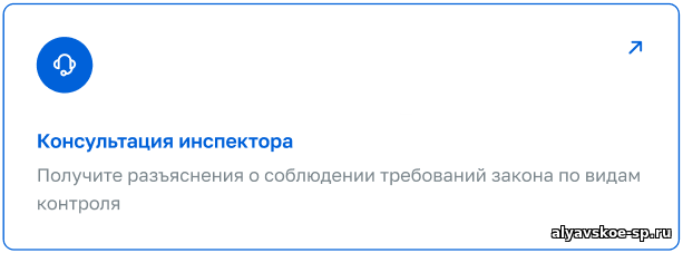 Госуслуги: Консультация по вопросам контроля и надзора